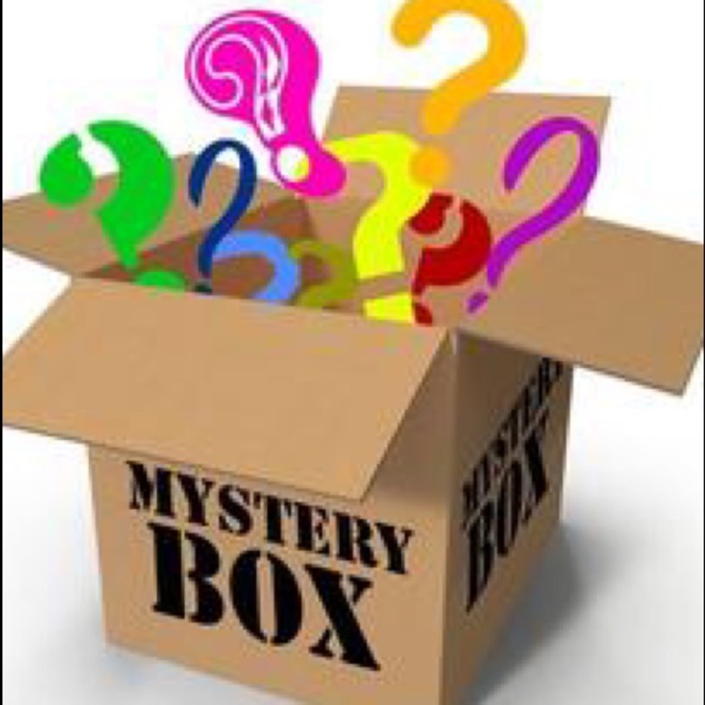 NWT Free People MYSTERY BOX Resellers or yourself